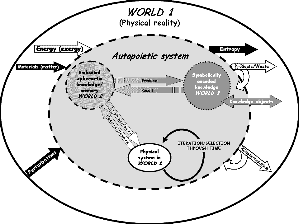 ThreeWorldsInAutopoiesis.png